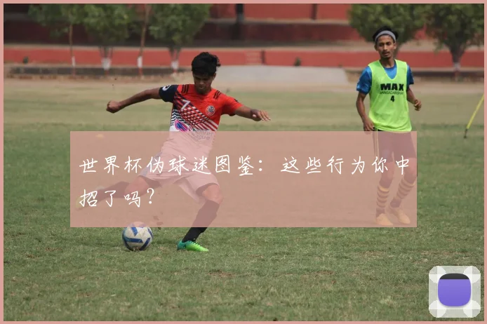 世界杯伪球迷图鉴：这些行为你中招了吗？