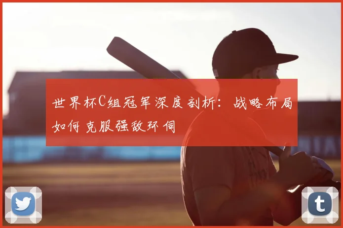 世界杯C组冠军深度剖析：战略布局如何克服强敌环伺