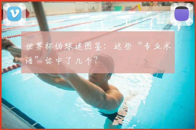 世界杯伪球迷图鉴：这些“专业术语”你中了几个？