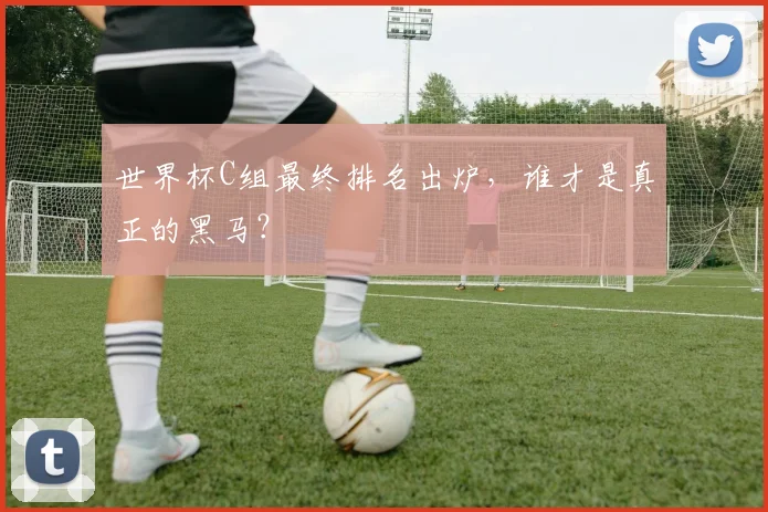 世界杯C组最终排名出炉，谁才是真正的黑马？