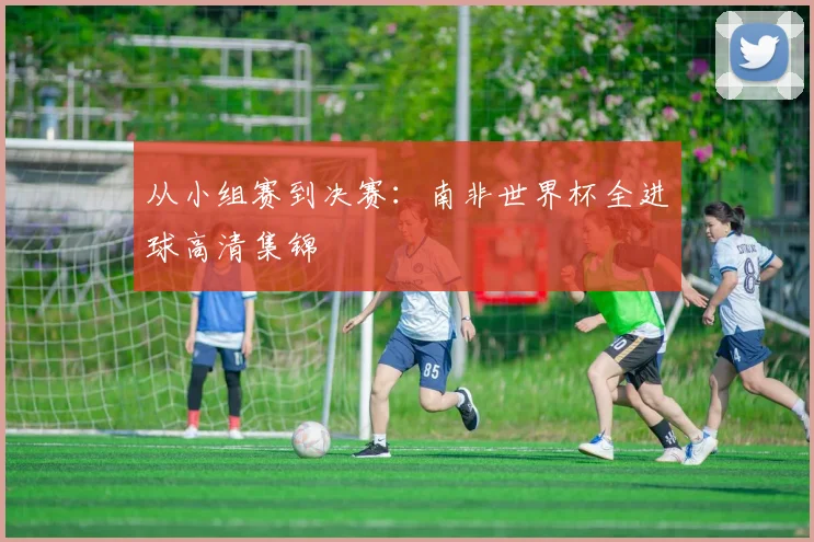 从小组赛到决赛:南非世界杯全进球高清集锦