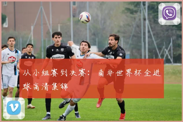 从小组赛到决赛：南非世界杯全进球高清集锦