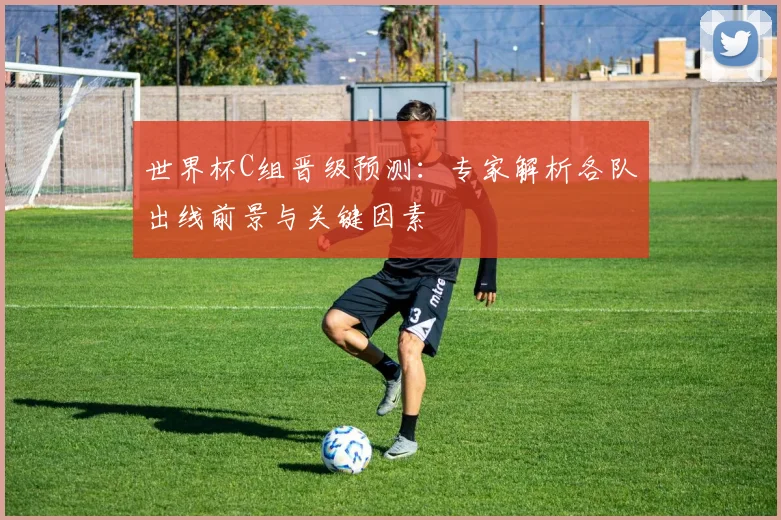 世界杯C组晋级预测：专家解析各队出线前景与关键因素