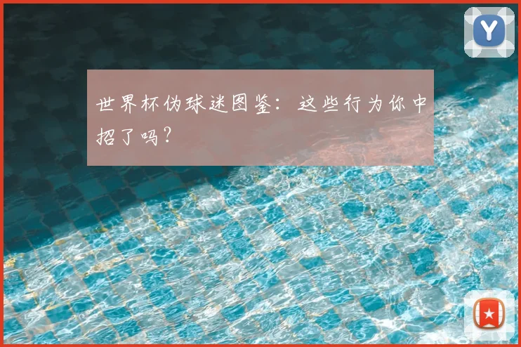 世界杯伪球迷图鉴：这些行为你中招了吗？