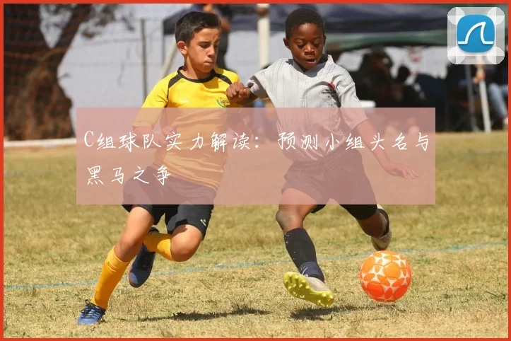 C组球队实力解读：预测小组头名与黑马之争