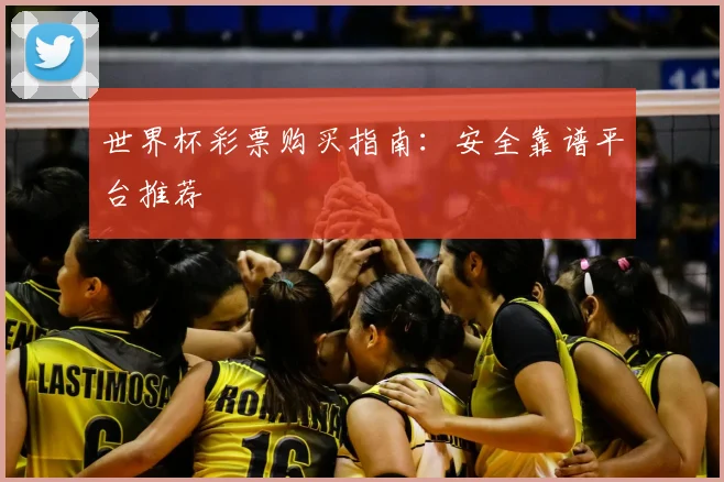 世界杯彩票购买指南:安全靠谱平台推荐