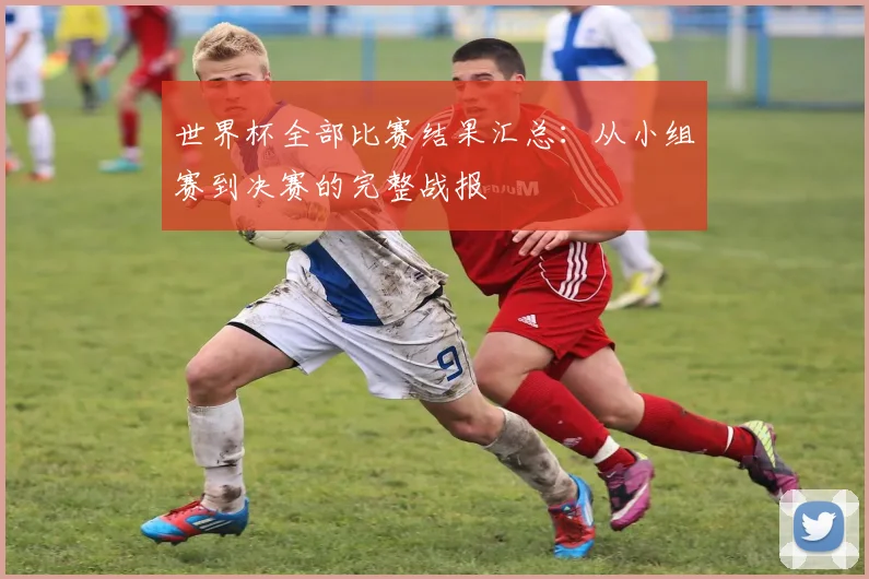 世界杯全部比赛结果汇总：从小组赛到决赛的完整战报