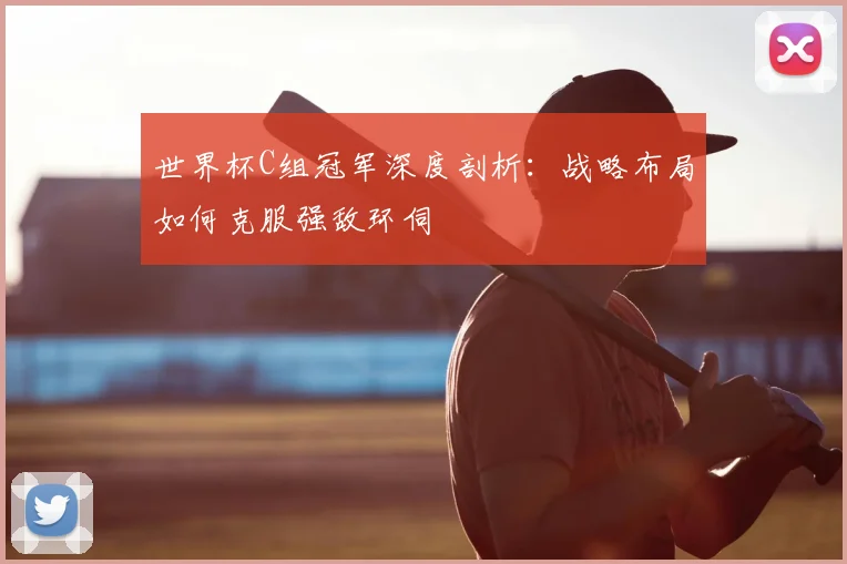 世界杯C组冠军深度剖析:战略布局如何克服强敌环伺